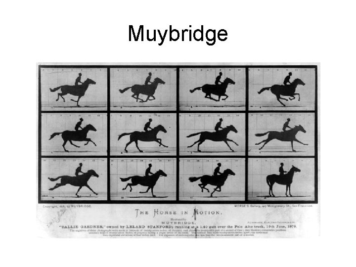 Muybridge 