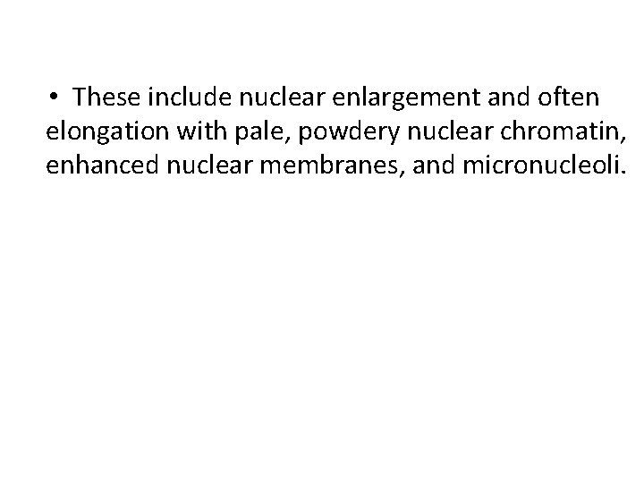  • These include nuclear enlargement and often elongation with pale, powdery nuclear chromatin,