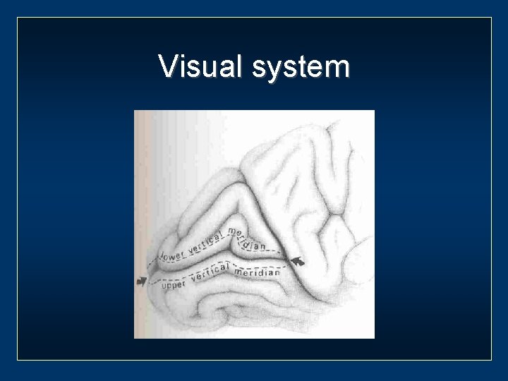 Visual system 