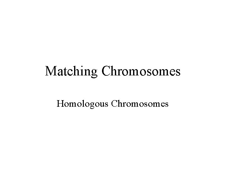 Matching Chromosomes Homologous Chromosomes 