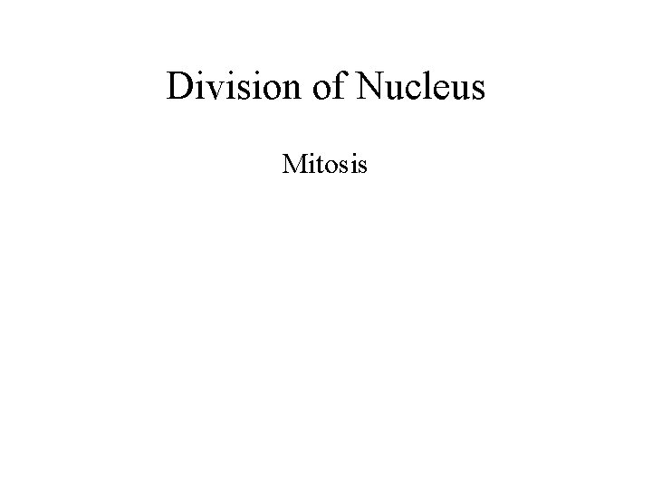 Division of Nucleus Mitosis 