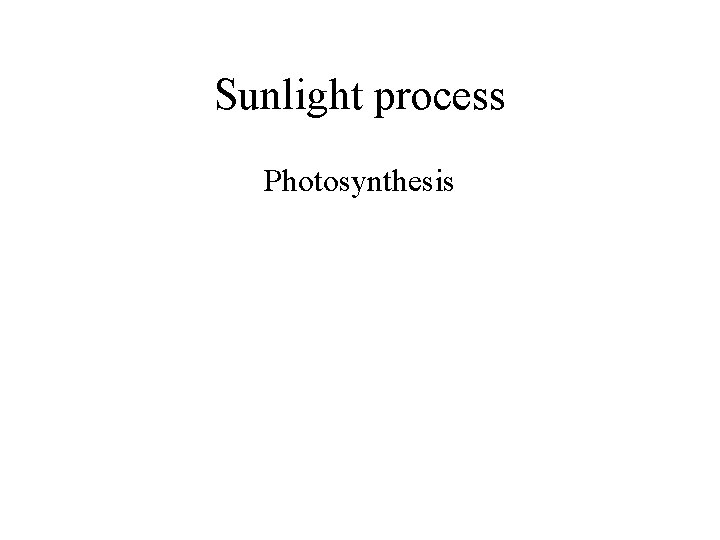 Sunlight process Photosynthesis 