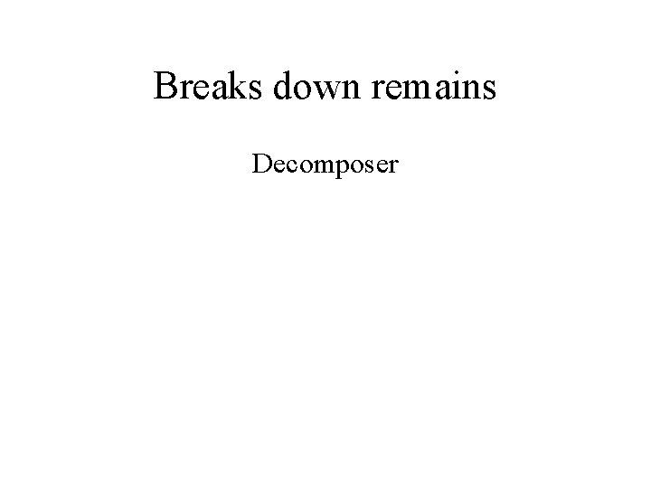 Breaks down remains Decomposer 