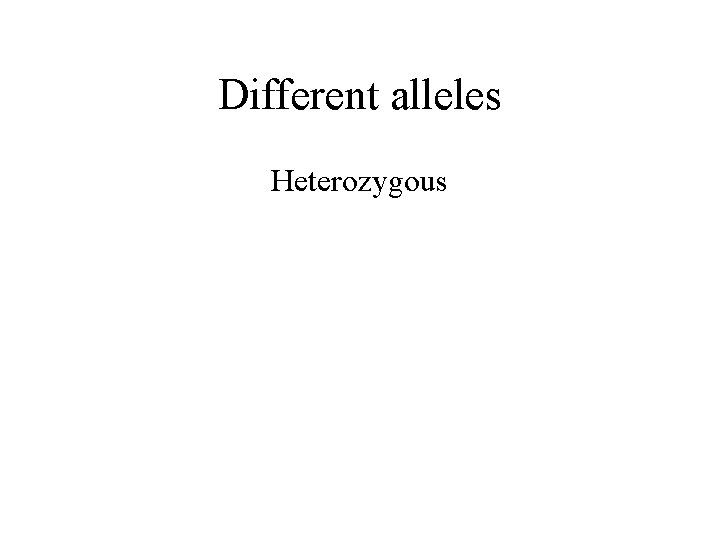 Different alleles Heterozygous 