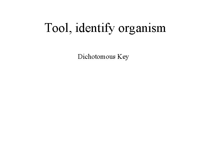 Tool, identify organism Dichotomous Key 