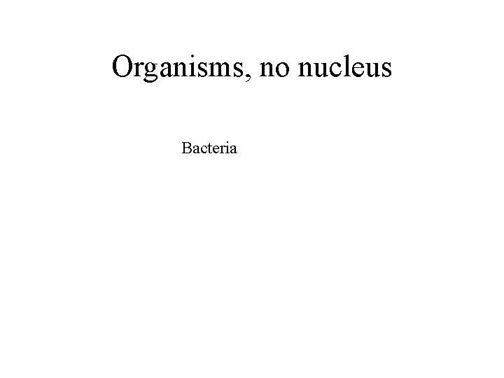 Organisms, no nucleus Bacteria 