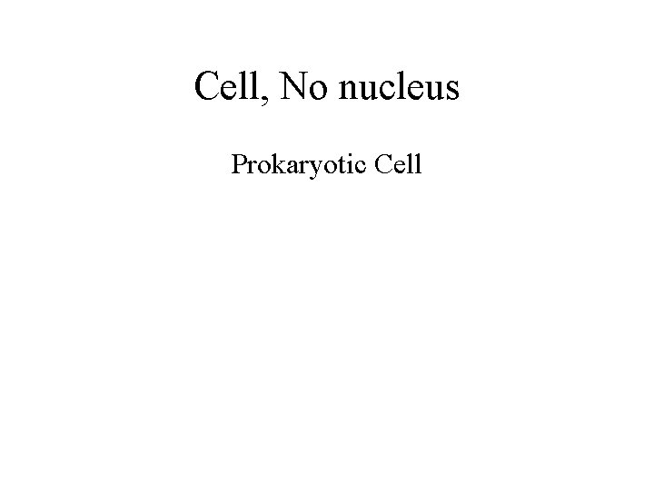 Cell, No nucleus Prokaryotic Cell 