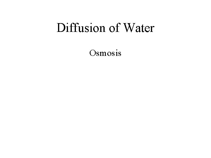 Diffusion of Water Osmosis 