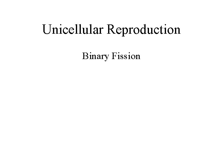 Unicellular Reproduction Binary Fission 