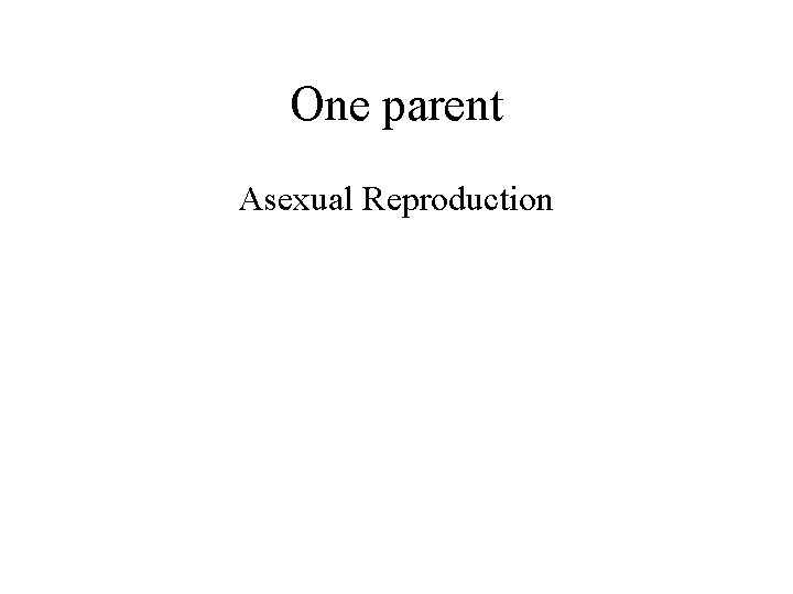 One parent Asexual Reproduction 