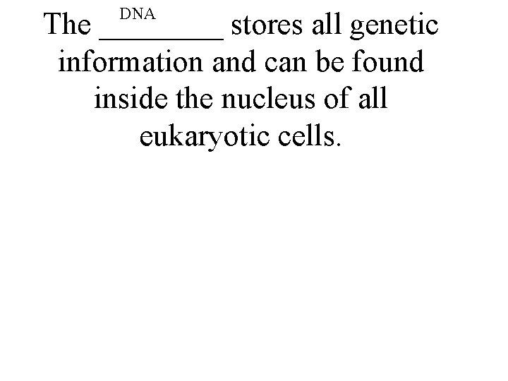 DNA The ____ stores all genetic information and can be found inside the nucleus