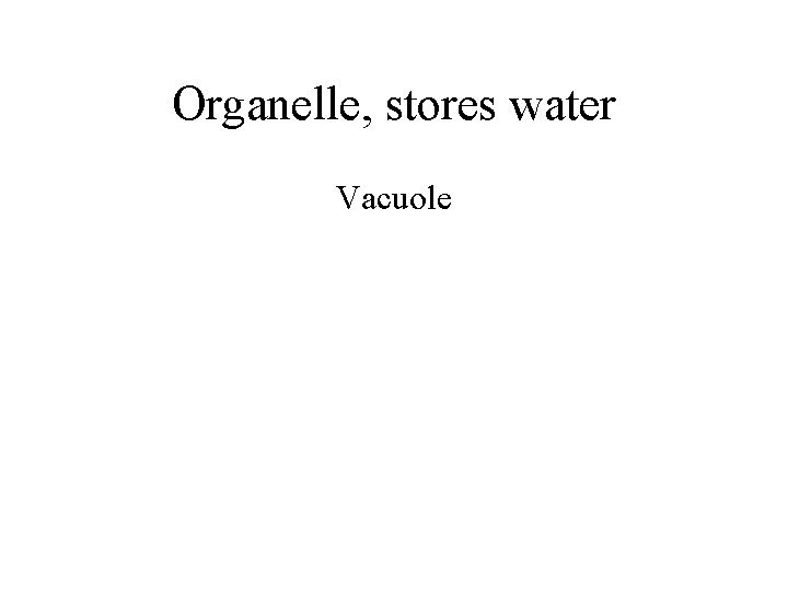 Organelle, stores water Vacuole 