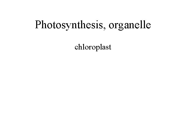 Photosynthesis, organelle chloroplast 