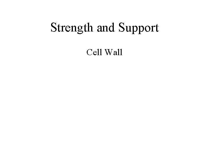 Strength and Support Cell Wall 