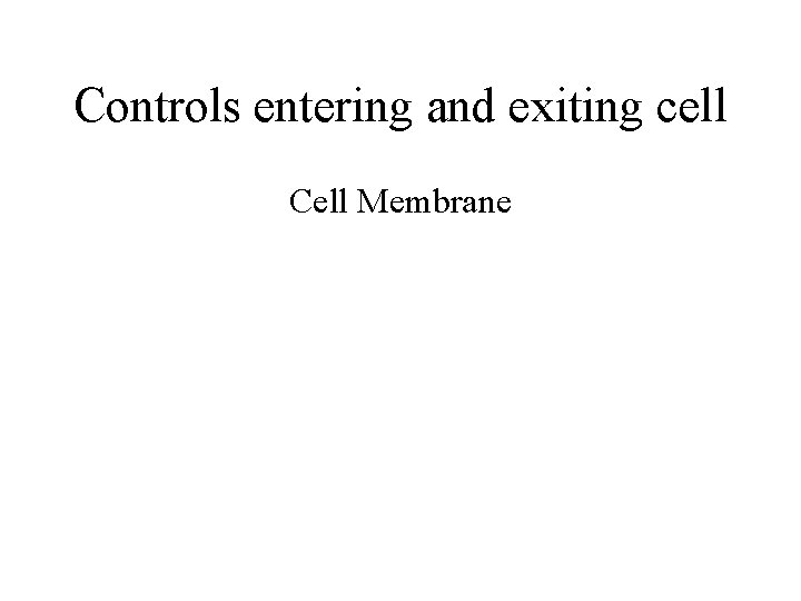 Controls entering and exiting cell Cell Membrane 