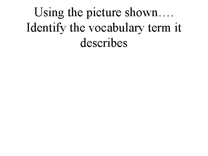 Using the picture shown…. Identify the vocabulary term it describes 