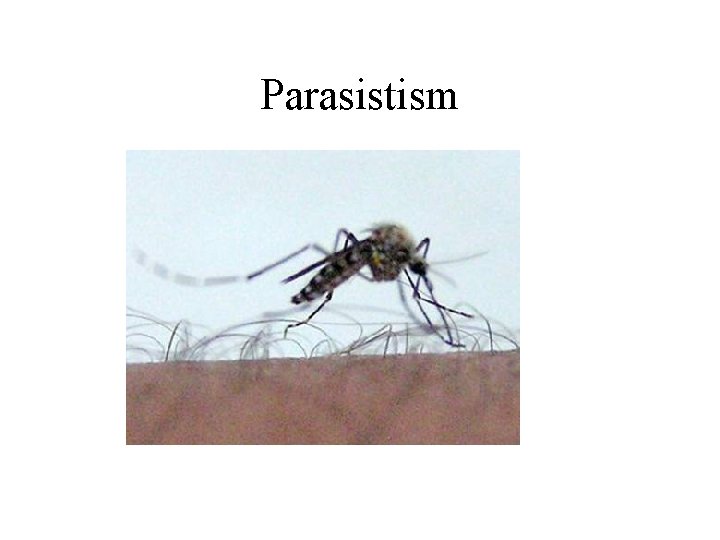 Parasistism 