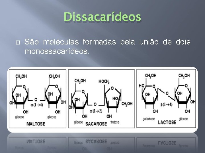 Dissacarídeos São moléculas formadas pela união de dois monossacarídeos. 