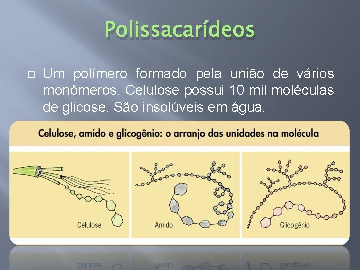 Polissacarídeos Um polímero formado pela união de vários monômeros. Celulose possui 10 mil moléculas