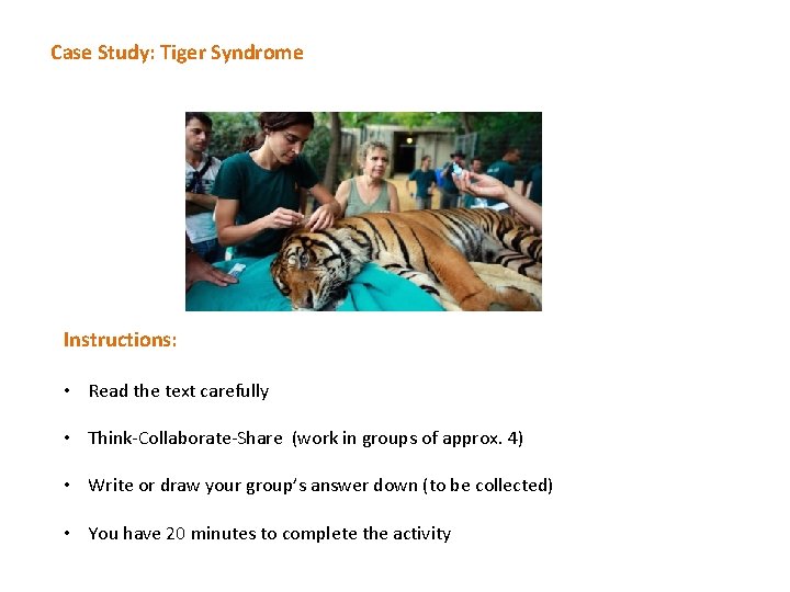 Case Study: Tiger Syndrome Instructions: • Read the text carefully • Think-Collaborate-Share (work in