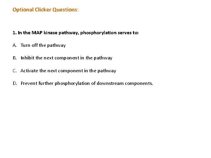 Optional Clicker Questions: 1. In the MAP kinase pathway, phosphorylation serves to: A. Turn