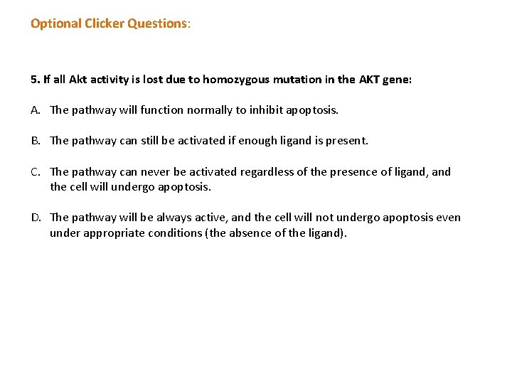 Optional Clicker Questions: 5. If all Akt activity is lost due to homozygous mutation