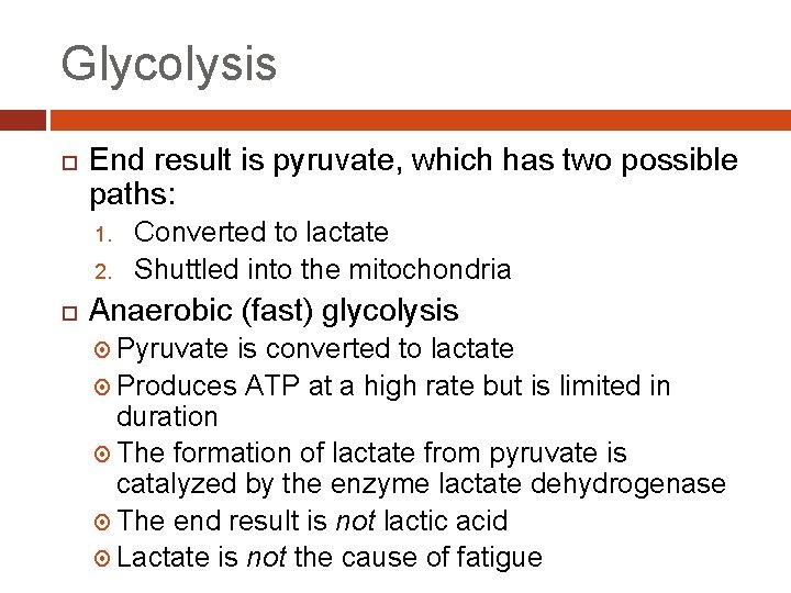 Glycolysis End result is pyruvate, which has two possible paths: 1. 2. Converted to