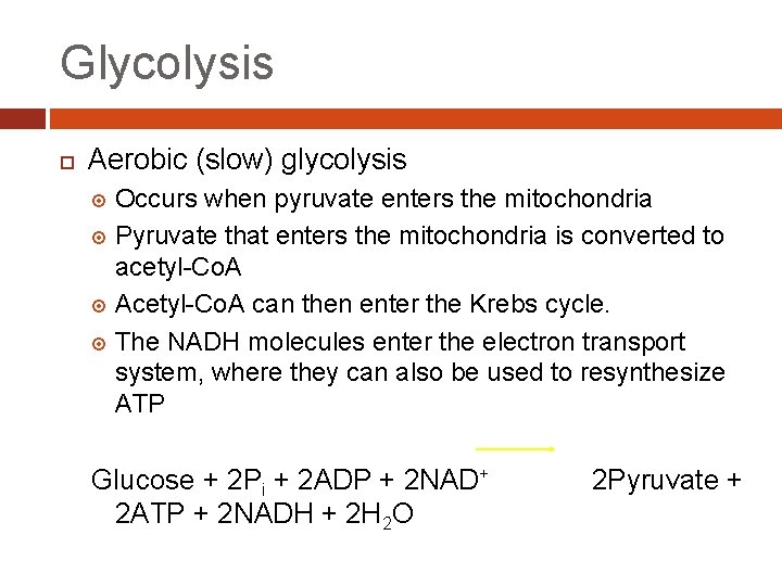 Glycolysis Aerobic (slow) glycolysis Occurs when pyruvate enters the mitochondria Pyruvate that enters the