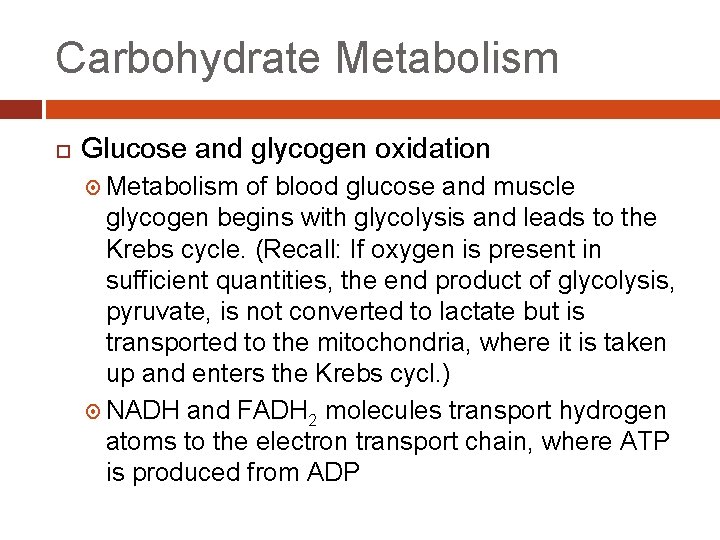 Carbohydrate Metabolism Glucose and glycogen oxidation Metabolism of blood glucose and muscle glycogen begins