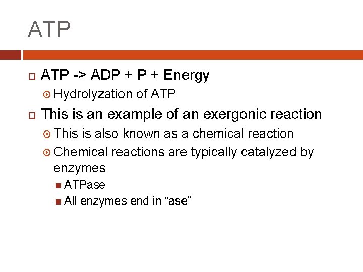 ATP -> ADP + Energy Hydrolyzation of ATP This is an example of an