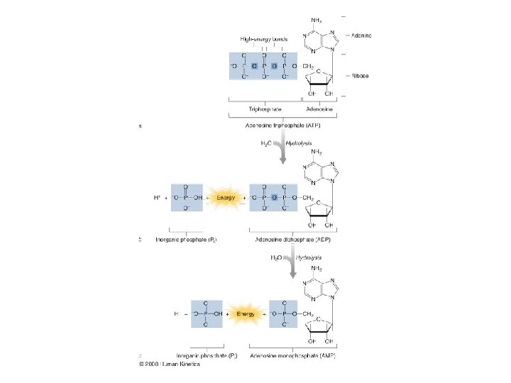 Figure 2. 1 