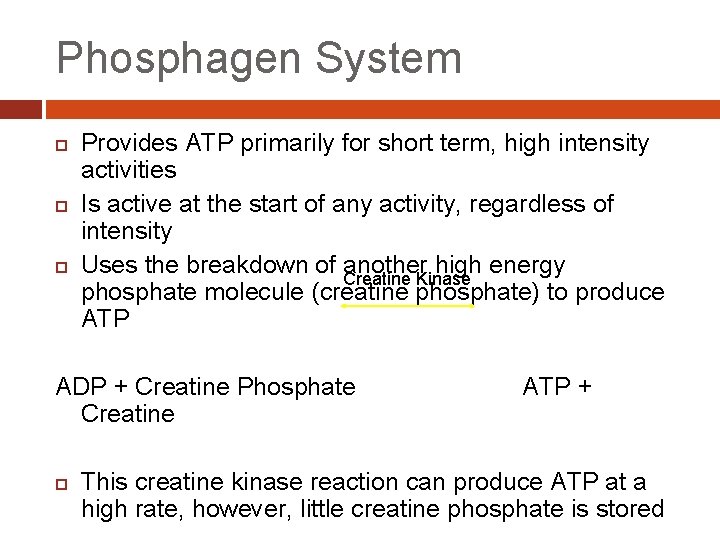 Phosphagen System Provides ATP primarily for short term, high intensity activities Is active at