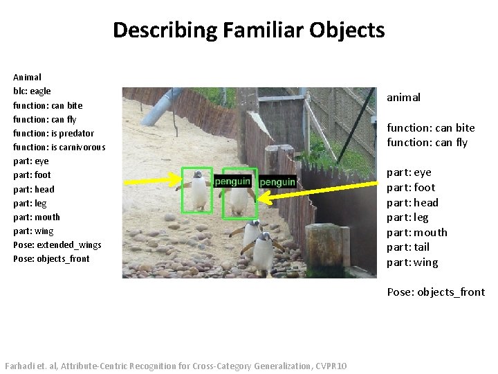 Describing Familiar Objects Animal blc: eagle function: can bite function: can fly function: is