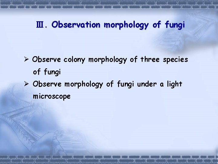 Ⅲ. Observation morphology of fungi Ø Observe colony morphology of three species of fungi