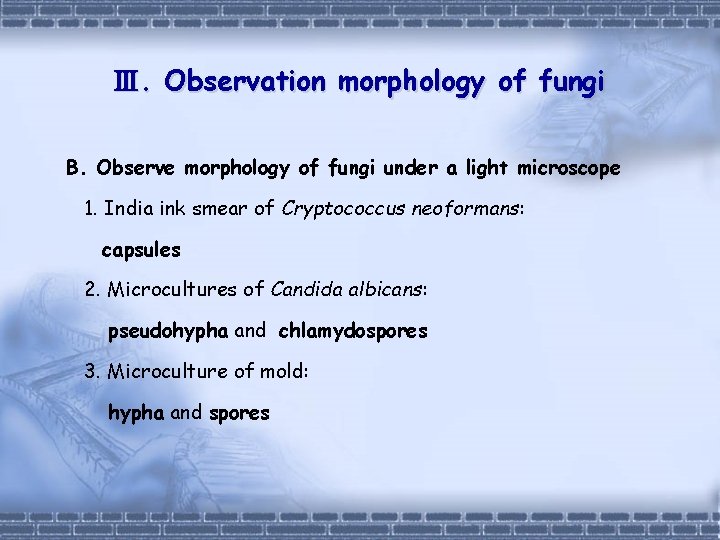Ⅲ. Observation morphology of fungi B. Observe morphology of fungi under a light microscope