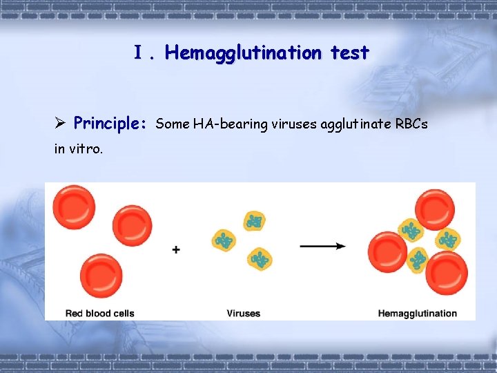 Experiment 1 Hemagglutination test 2 Hemagglutination inhibition test