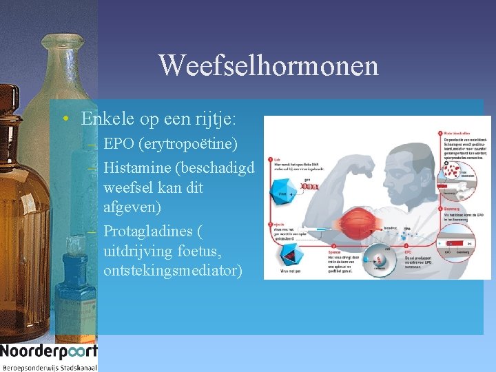 Weefselhormonen • Enkele op een rijtje: – EPO (erytropoëtine) – Histamine (beschadigd weefsel kan