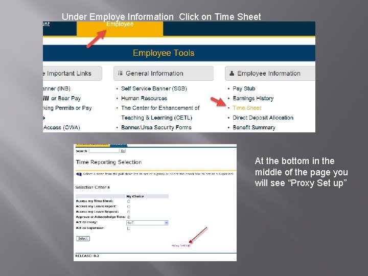 Under Employe Information Click on Time Sheet At the bottom in the middle of