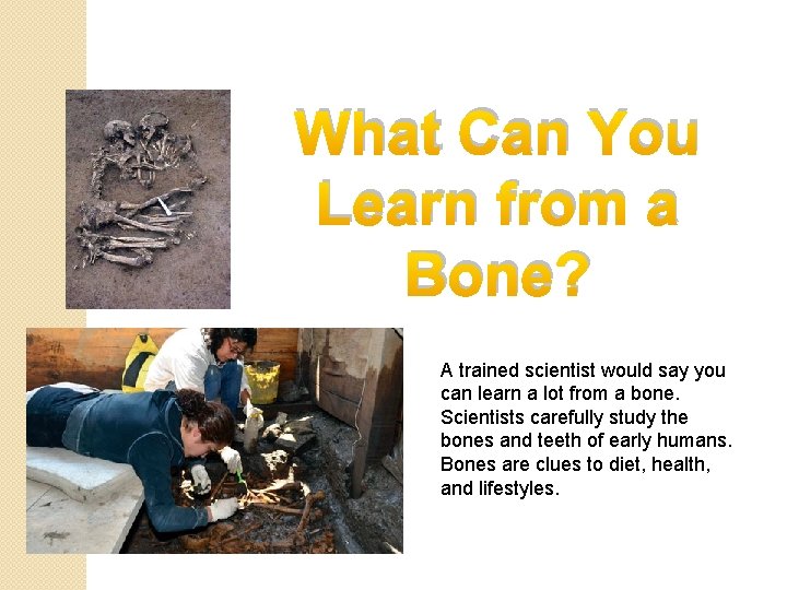 What Can You Learn from a Bone? A trained scientist would say you can