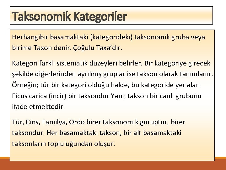 Taksonomik Kategoriler Herhangibir basamaktaki (kategorideki) taksonomik gruba veya birime Taxon denir. Çoğulu Taxa’dır. Kategori