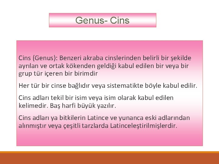 Genus- Cins (Genus): Benzeri akraba cinslerinden belirli bir şekilde ayrılan ve ortak kökenden geldiği