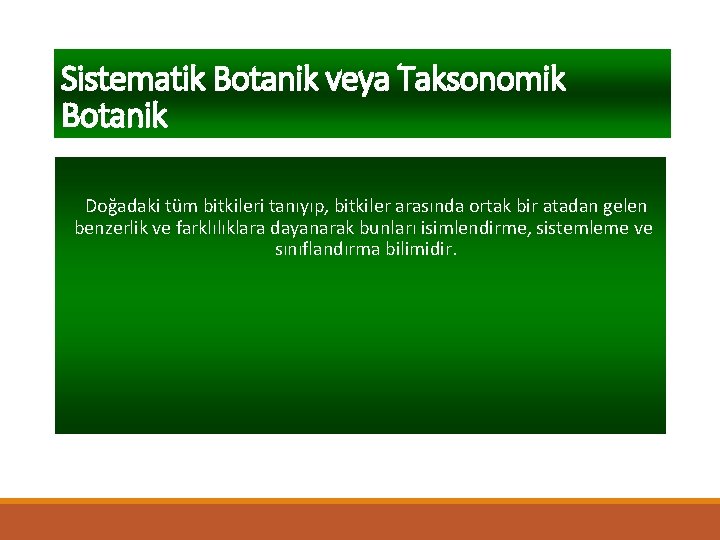 Sistematik Botanik veya Taksonomik Botanik Doğadaki tüm bitkileri tanıyıp, bitkiler arasında ortak bir atadan