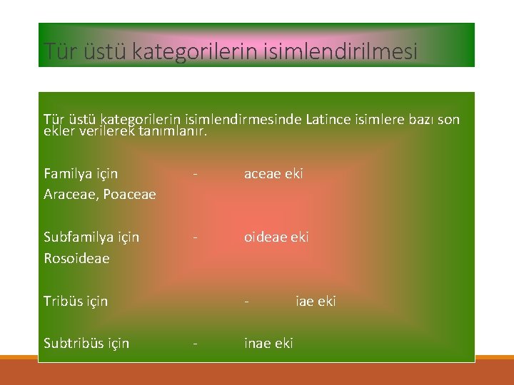 Tür üstü kategorilerin isimlendirilmesi Tür üstü kategorilerin isimlendirmesinde Latince isimlere bazı son ekler verilerek