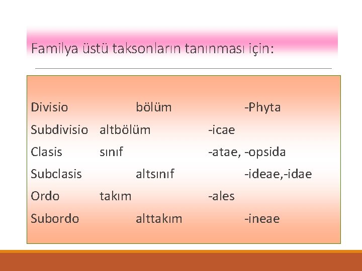 Familya üstü taksonların tanınması için: Divisio bölüm -Phyta Subdivisio altbölüm -icae Clasis -atae, -opsida