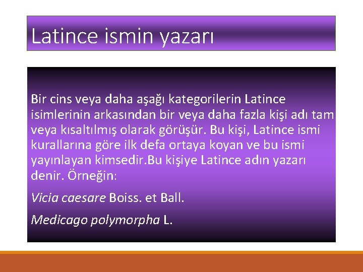 Latince ismin yazarı Bir cins veya daha aşağı kategorilerin Latince isimlerinin arkasından bir veya