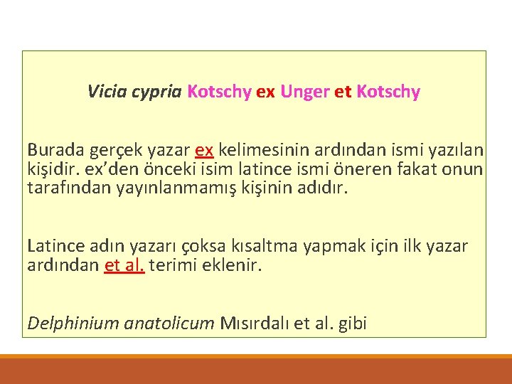 Vicia cypria Kotschy ex Unger et Kotschy Burada gerçek yazar ex kelimesinin ardından ismi