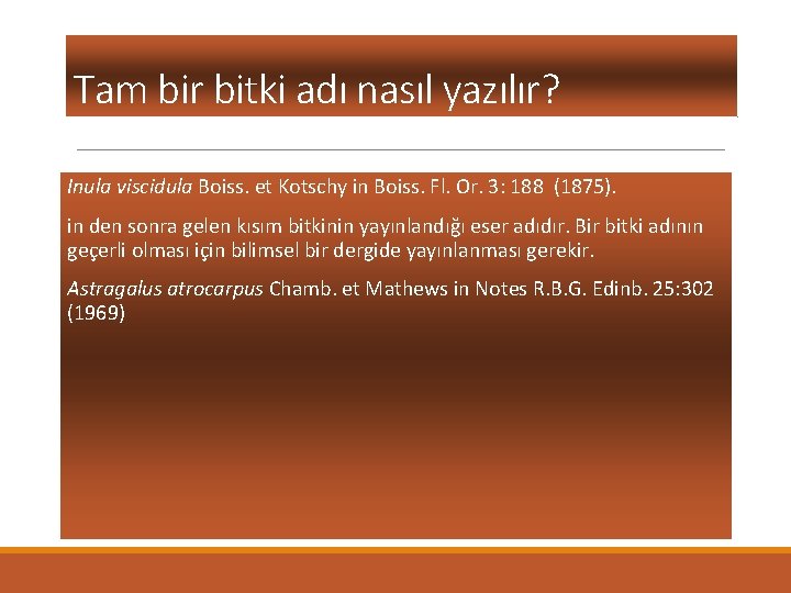 Tam bir bitki adı nasıl yazılır? Inula viscidula Boiss. et Kotschy in Boiss. Fl.