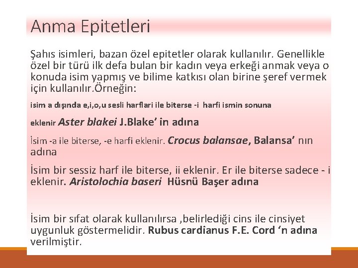 Anma Epitetleri Şahıs isimleri, bazan özel epitetler olarak kullanılır. Genellikle özel bir türü ilk