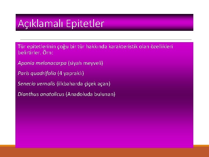 Açıklamalı Epitetler Tür epitetlerinin çoğu bir tür hakkında karakteristik olan özellikleri belirtirler. Örn: Aponia