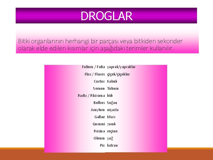 DROGLAR Bitki organlarının herhangi bir parçası veya bitkiden sekonder olarak elde edilen kısımlar için